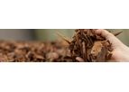 Op de Beeck - Model BVBA - Horticultural Products