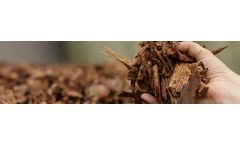 Op de Beeck - Model BVBA - Horticultural Products