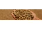 Agrophil - Model SPRL - Animal Feed