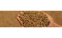 Agrophil - Model SPRL - Animal Feed