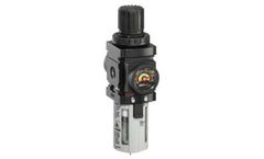 ARO - Model 1000 Series - 2-Piece Combination Units