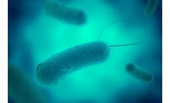 Legionella Testing & Prevention Services