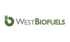Bio-Syngas Platform