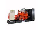 Natural Gas Generator