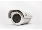 Wireless and Remote Wildfire Detectors