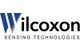 Wilcoxon Sensing Technologies