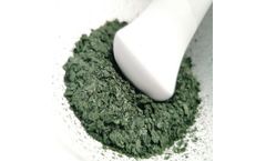 Model BM02-021G - Biomass
