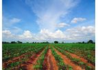 Plant Protection Products
