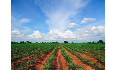Plant Protection Products