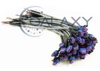 Cable Assemblies