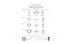 Tennant - Digestive Enzyme Formula Capsule User Guide