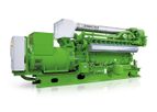 Model Type 3 - Gas Engine Generators