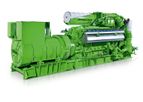 Model Type 4 - Gas Engine Generators