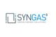 Syngascube Srl