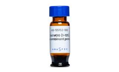 AnaSpec - Model AS-55152-100 - Recombinant rat MOG (1-125)