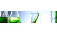 Service For Raceway Treatment System