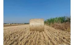 YueQun - BALE Net Wrap