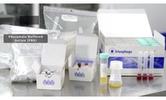 Bluephage BP 1601 Somatic coliphage enumeration Advanced kit, according to ISO 10705-2 method - Video