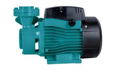 Model APm- F - Peripheral Pump