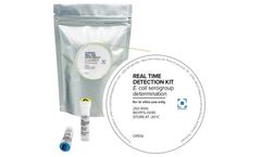 Biopremier - Model BIOPSFS-0045 - Real Time Pcr Detection Test Kit Escherichia Coli Serotype / Serogroup
