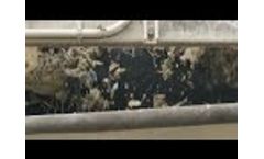 Juno Supports King County’s Waste Reduction Goals - Video