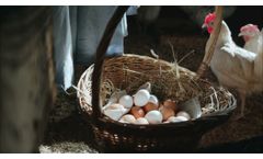 ZYMOVET - Digestive Tonic For Cattle & Poultry | Cattle Feed Supplement - Video