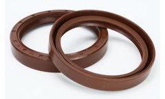 SBT - Model TC NBR -TC FKM - Rubber Oil Seal