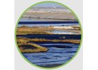 Nontox - Powerful Bio-Catalytic Agent