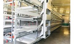 Livi - Automatic Broiler Rearing Equipment