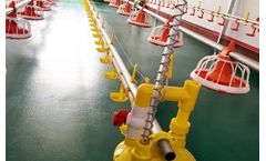 Livi - Broiler Pan Feeding System