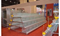 Livi - A-Type Pullet Battery Cage System