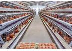 Livi - A Type Layer Chicken Battery Cage System