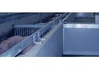 Automatic Runway System For Pigs
