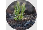 Unicarb G-series - Activated Carbon Based On Biogenic Raw Materials