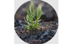 Unicarb G-series - Activated Carbon Based On Biogenic Raw Materials