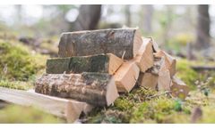 Environmentally Conscious Solutions