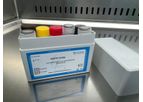 Acute Hepatopancreatic Necrosis Disease Detection Kits