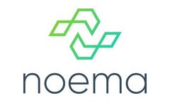 Noema - Flare Monitoring Applications