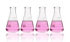 Labvida - Model LVC004 - 4pcs of Narrow Mouth Glass Erlenmeyer Flasks