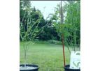 Model Terreplenish - Liquid Microbial Fertilizer