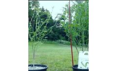 Model Terreplenish - Liquid Microbial Fertilizer