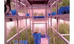 Plant Growth Rooms