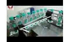 2 Cavity Pet Blowing Machine, Bottle Blow Molding Machine - Video