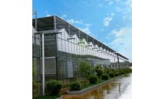 Kunsheng - Agricultural Glass Greenhouses