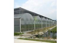 Kunsheng - Multi-Span Greenhouse
