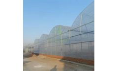 Kunsheng - Agriculture Film Greenhouse