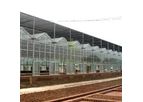 Kunsheng - Gable Glass Greenhouses