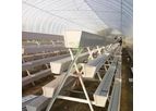Kunsheng - Soilless Greenhouse
