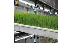 Kunsheng - Hydroponic Fodder Container Farm