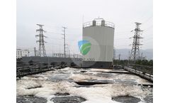 Egsb Anaerobic Reactor